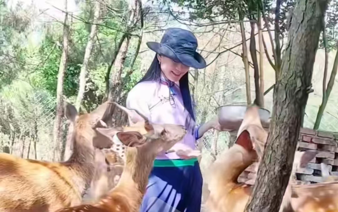 新华网