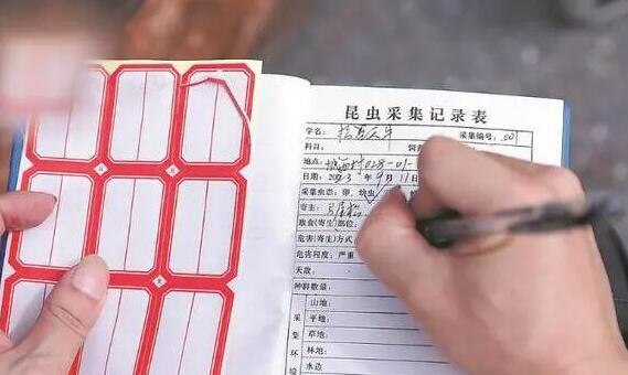 新华网