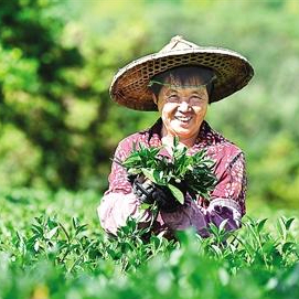 新華網