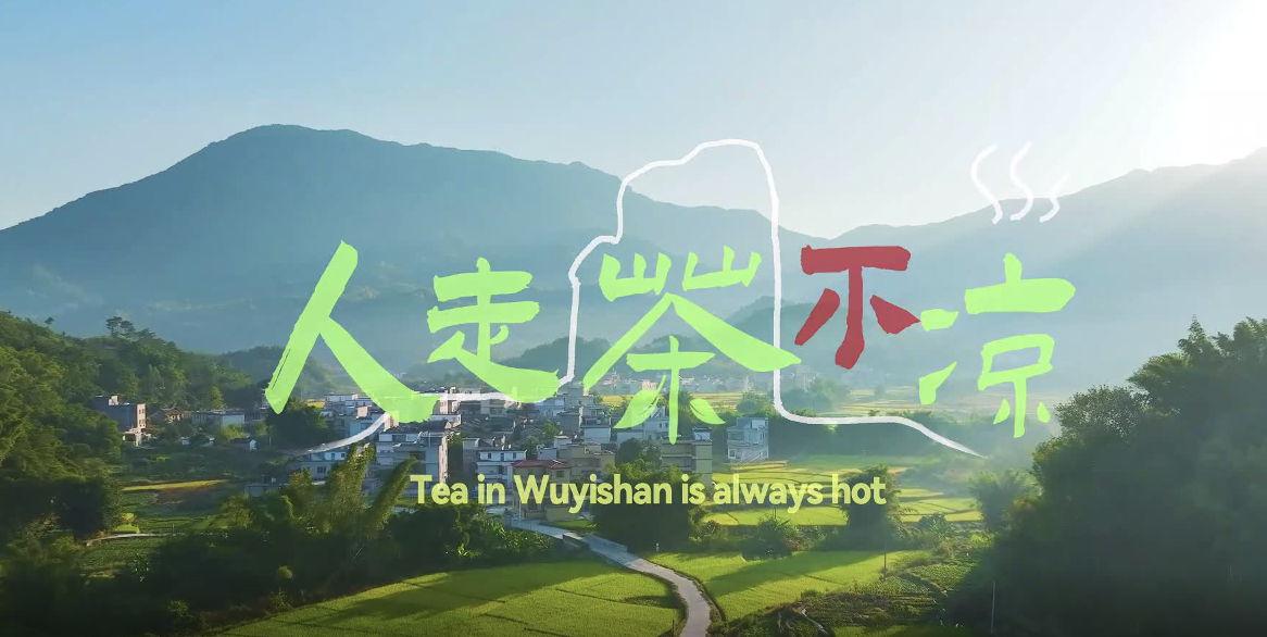 新华网