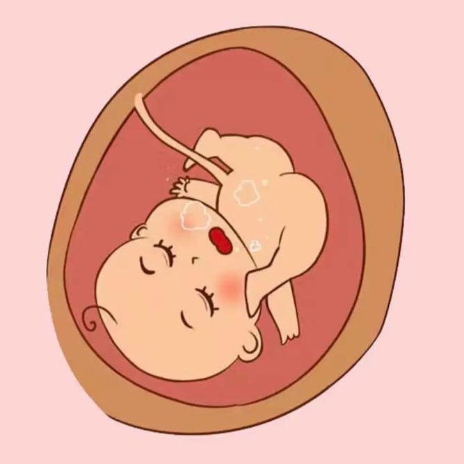 新华网