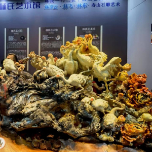 新华网