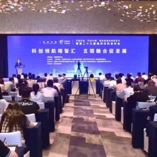 新华网