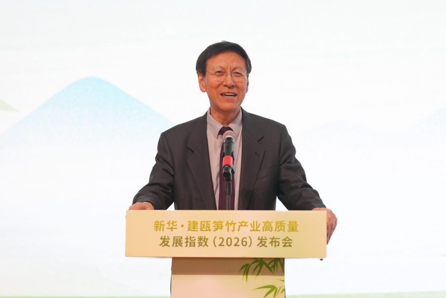 新华网