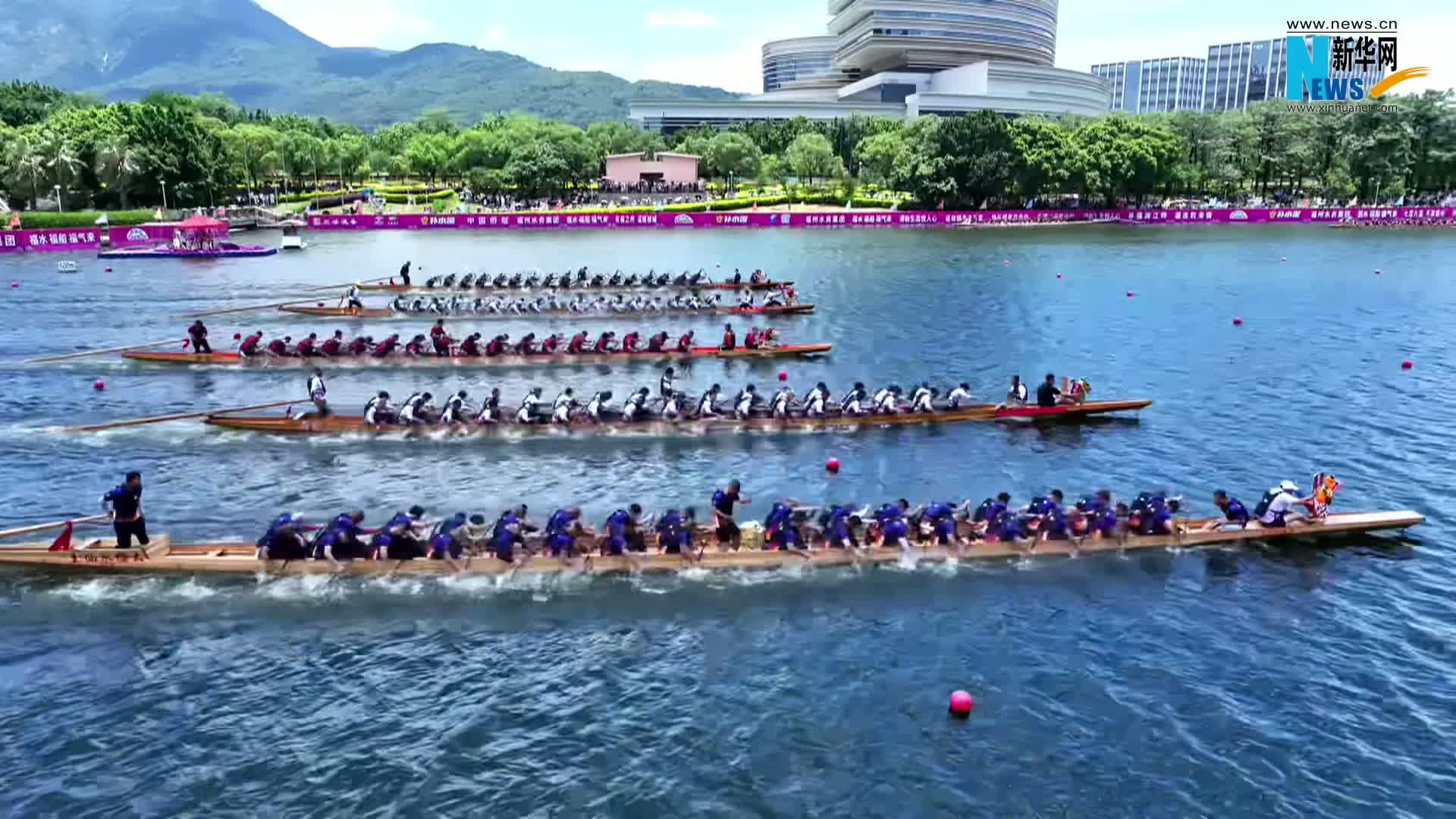 新华网