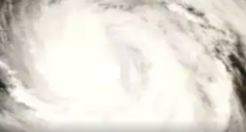 新华网