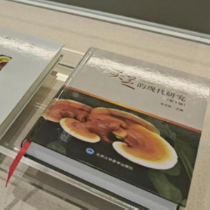 新华网