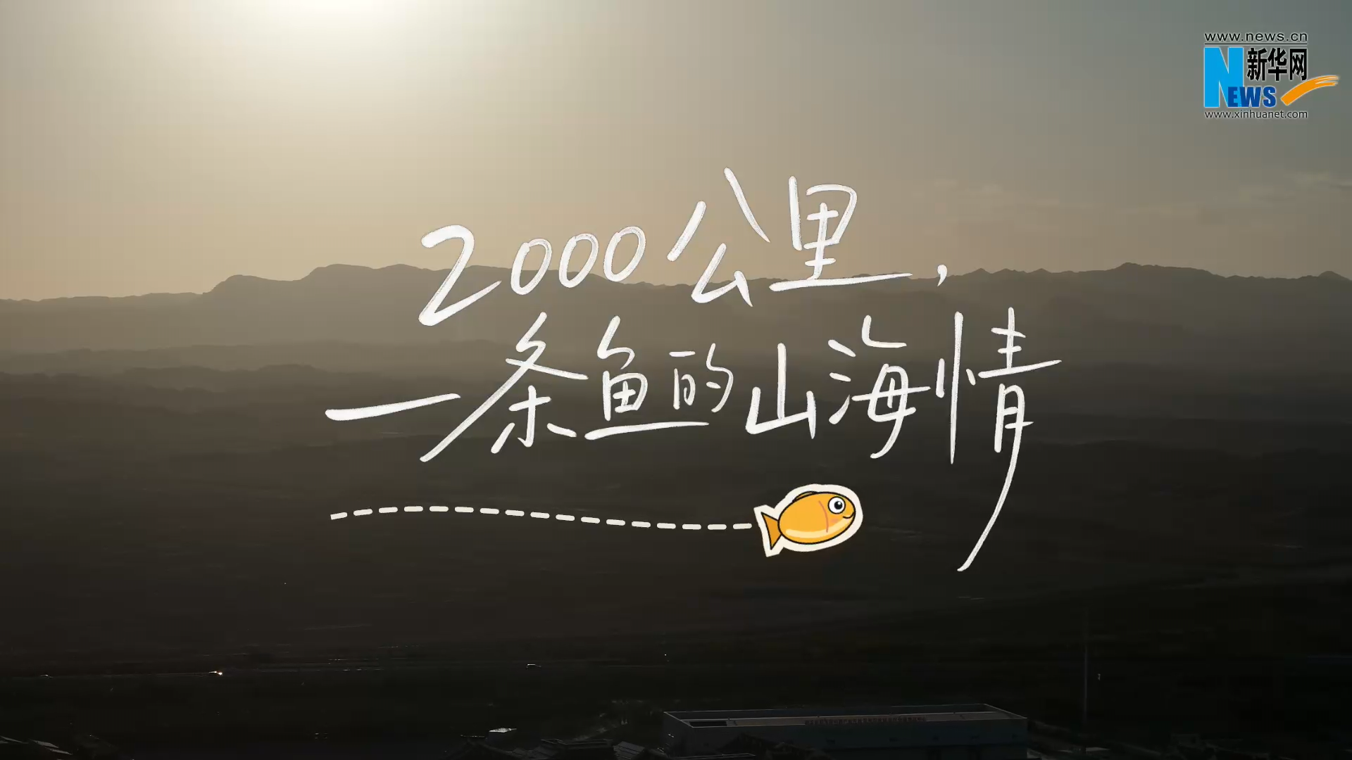 新华网