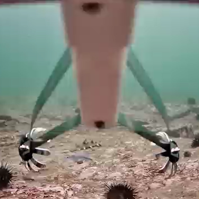 新华网