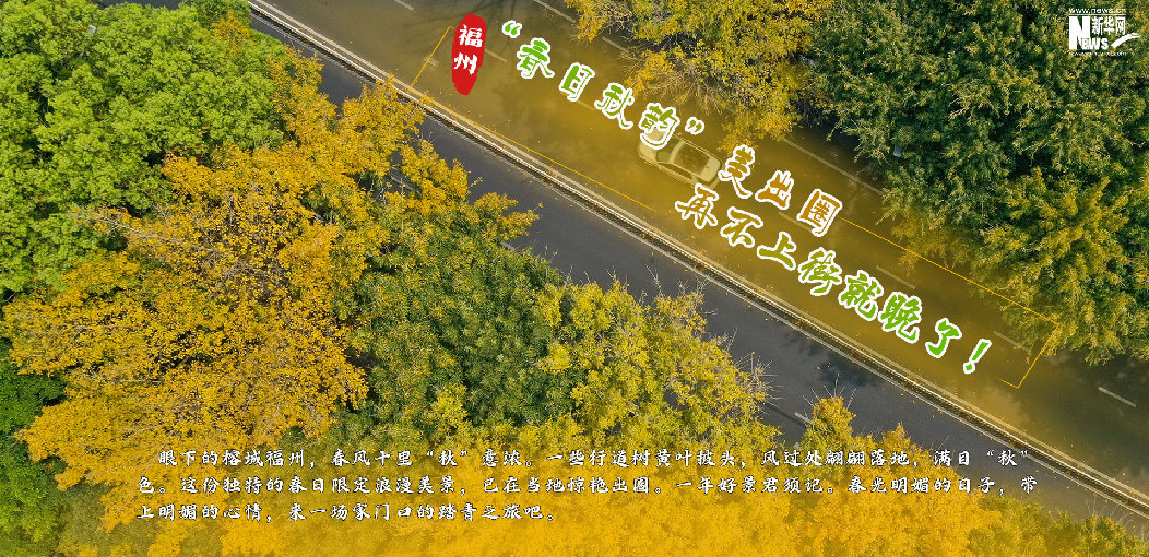 福州：“春日秋韻”美出圈，再不上街就晚了！